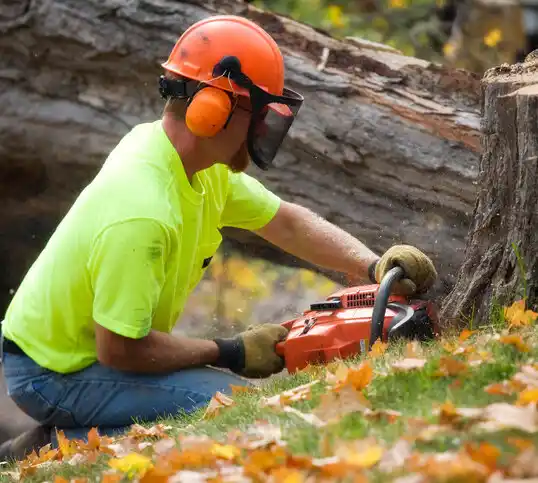 tree services Buckner